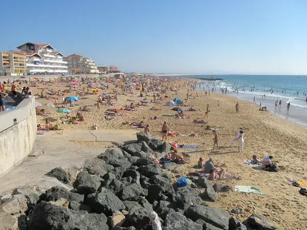 Tôlerie Industrielle Pro Tôlerie fine industrielle Capbreton