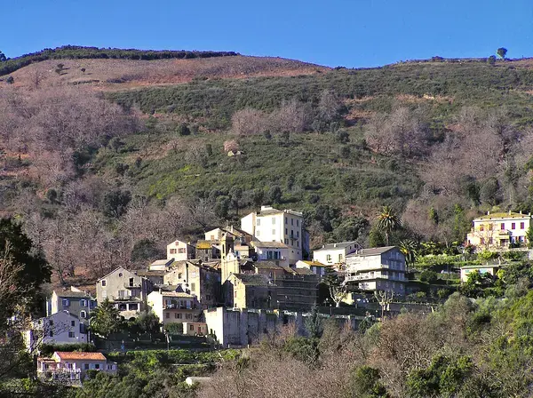 Tôlerie Industrielle Pro Tôlerie fine industrielle Lucciana